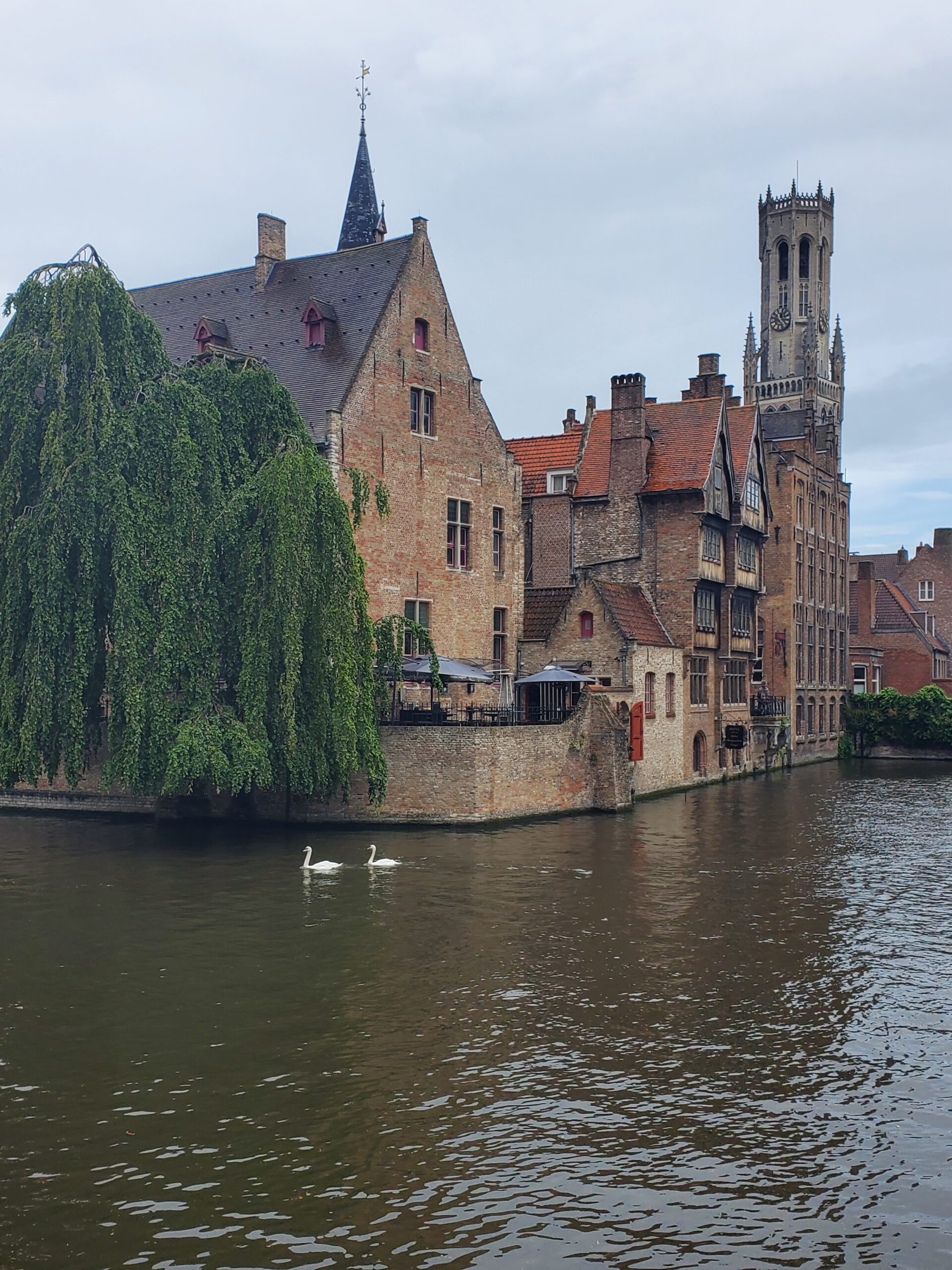 Best Beer Bars in Bruges